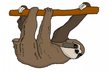 sloth-3329452_1280