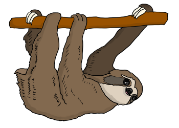 sloth-3329452_1280